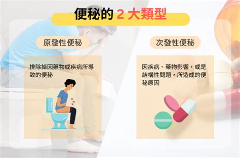 踩到大便怎麼辦|長期便秘可能是這些原因！營養師教你7招，速解便秘改善不適！